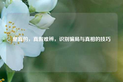 是真的，真假难辨，识别骗局与真相的技巧