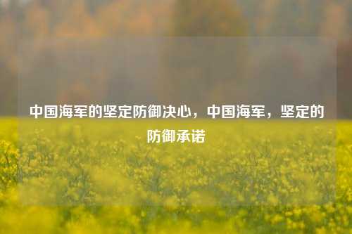 中国海军的坚定防御决心，中国海军，坚定的防御承诺
