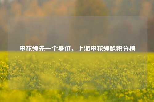 申花领先一个身位，上海申花领跑积分榜