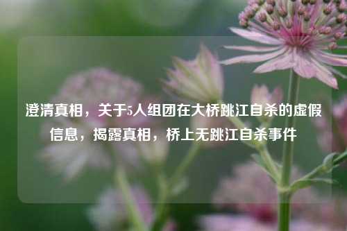 澄清真相，关于5人组团在大桥跳江自杀的虚假信息，揭露真相，桥上无跳江自杀事件