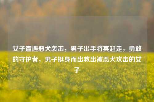 女子遭遇恶犬袭击，男子出手将其赶走，勇敢的守护者，男子挺身而出救出被恶犬攻击的女子