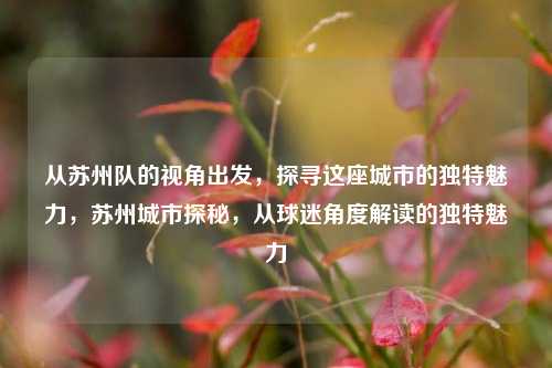 从苏州队的视角出发，探寻这座城市的独特魅力，苏州城市探秘，从球迷角度解读的独特魅力