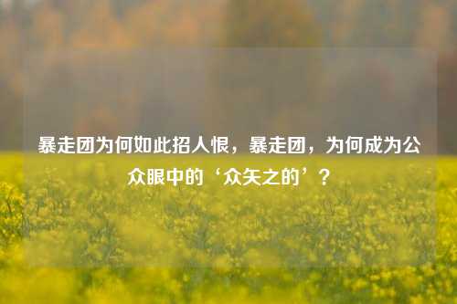 暴走团为何如此招人恨，暴走团，为何成为公众眼中的‘众矢之的’？