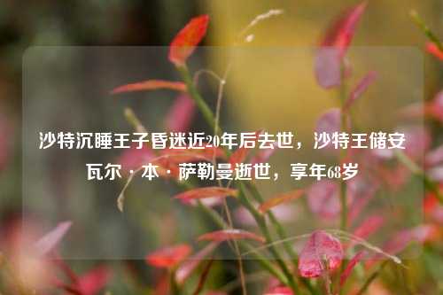 沙特沉睡王子昏迷近20年后去世，沙特王储安瓦尔·本·萨勒曼逝世，享年68岁