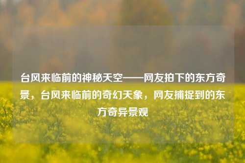 台风来临前的神秘天空——网友拍下的东方奇景，台风来临前的奇幻天象，网友捕捉到的东方奇异景观