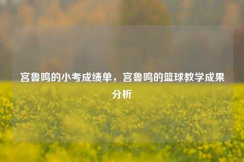 宫鲁鸣的小考成绩单，宫鲁鸣的篮球教学成果分析