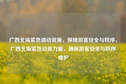 广西北海紧急调动资源，保障游客安全与秩序，广西北海紧急动员力量，确保游客安全与秩序维护