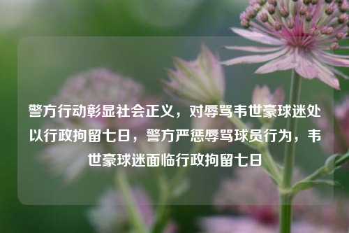 警方行动彰显社会正义，对辱骂韦世豪球迷处以行政拘留七日，警方严惩辱骂球员行为，韦世豪球迷面临行政拘留七日