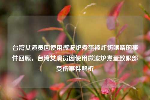 台湾女演员因使用微波炉煮蛋被炸伤眼睛的事件回顾，台湾女演员因使用微波炉煮蛋致眼部受伤事件解析
