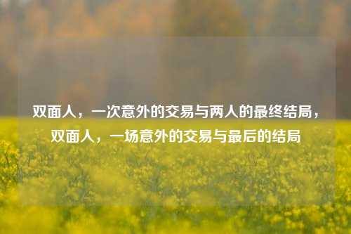 双面人，一次意外的交易与两人的最终结局，双面人，一场意外的交易与最后的结局