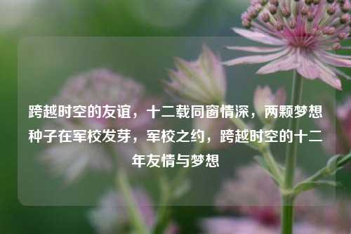 跨越时空的友谊，十二载同窗情深，两颗梦想种子在军校发芽，军校之约，跨越时空的十二年友情与梦想