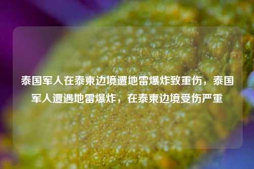 泰国军人在泰柬边境遭地雷爆炸致重伤，泰国军人遭遇地雷爆炸，在泰柬边境受伤严重