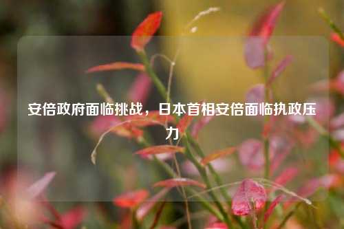 安倍政府面临挑战，日本首相安倍面临执政压力