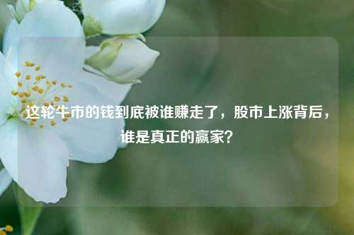 这轮牛市的钱到底被谁赚走了，股市上涨背后，谁是真正的赢家？