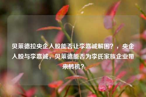 贝莱德拉央企入股能否让李嘉诚解困？，央企入股与李嘉诚，贝莱德能否为李氏家族企业带来转机？