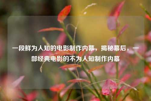 一段鲜为人知的电影制作内幕，揭秘幕后，一部经典电影的不为人知制作内幕