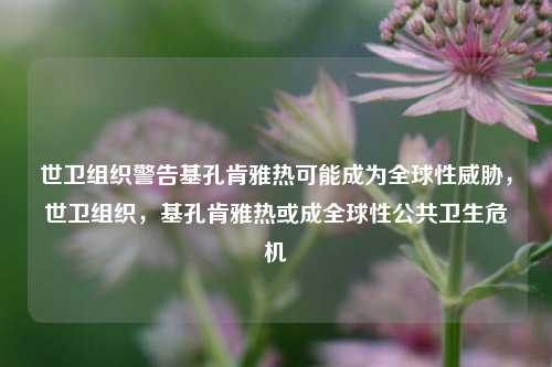 世卫组织警告基孔肯雅热可能成为全球性威胁，世卫组织，基孔肯雅热或成全球性公共卫生危机