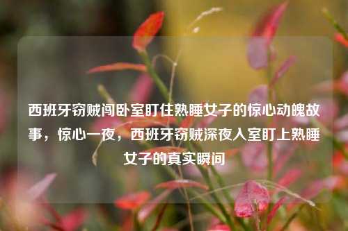 西班牙窃贼闯卧室盯住熟睡女子的惊心动魄故事，惊心一夜，西班牙窃贼深夜入室盯上熟睡女子的真实瞬间
