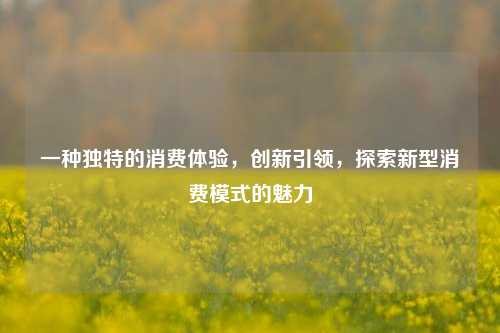 一种独特的消费体验，创新引领，探索新型消费模式的魅力