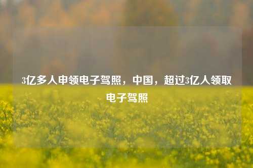3亿多人申领电子驾照，中国，超过3亿人领取电子驾照