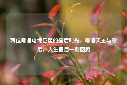 两位粤语电视巨星的最后时光，粤语天王与歌后，人生最后一刻回顾