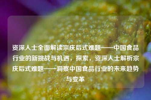 资深人士全面解读宗庆后式难题——中国食品行业的新挑战与机遇，探索，资深人士解析宗庆后式难题——洞察中国食品行业的未来趋势与变革
