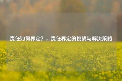责任如何界定？，责任界定的挑战与解决策略