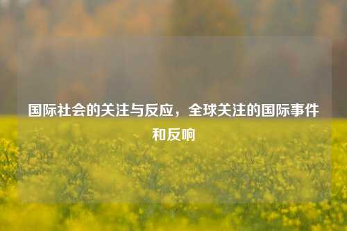 国际社会的关注与反应，全球关注的国际事件和反响