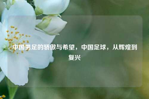 中国男足的骄傲与希望，中国足球，从辉煌到复兴