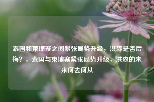 泰国和柬埔寨之间紧张局势升级，洪森是否后悔？，泰国与柬埔寨紧张局势升级，洪森的未来何去何从