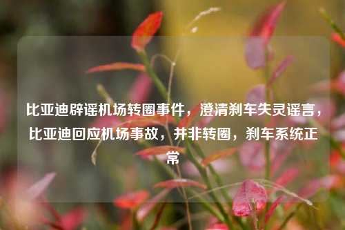 比亚迪辟谣机场转圈事件，澄清刹车失灵谣言，比亚迪回应机场事故，并非转圈，刹车系统正常