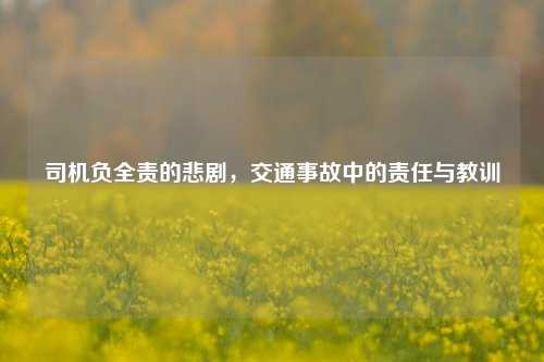 司机负全责的悲剧，交通事故中的责任与教训