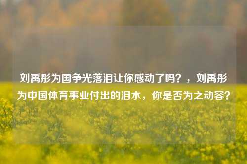 刘禹彤为国争光落泪让你感动了吗？，刘禹彤为中国体育事业付出的泪水，你是否为之动容？