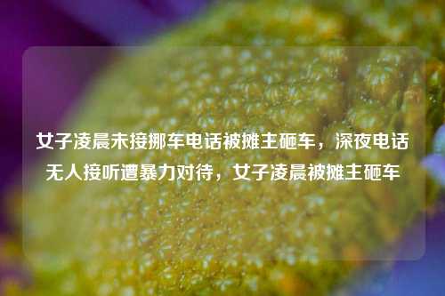 女子凌晨未接挪车电话被摊主砸车，深夜电话无人接听遭暴力对待，女子凌晨被摊主砸车