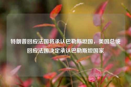 特朗普回应法国将承认巴勒斯坦国，美国总统回应法国决定承认巴勒斯坦国家