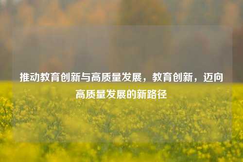 推动教育创新与高质量发展，教育创新，迈向高质量发展的新路径