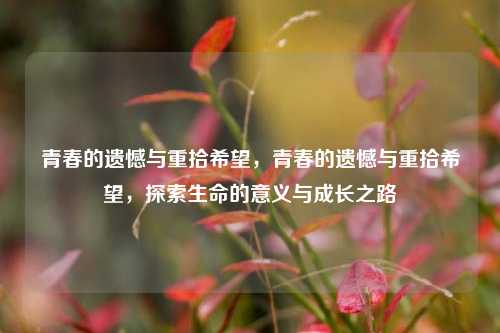 青春的遗憾与重拾希望，青春的遗憾与重拾希望，探索生命的意义与成长之路