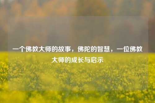 一个佛教大师的故事，佛陀的智慧，一位佛教大师的成长与启示