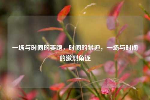一场与时间的赛跑，时间的紧迫，一场与时间的激烈角逐