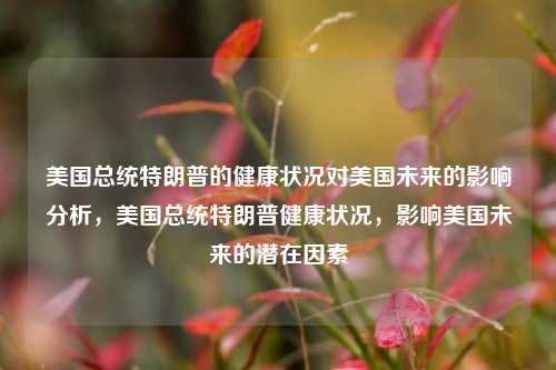 美国总统特朗普的健康状况对美国未来的影响分析，美国总统特朗普健康状况，影响美国未来的潜在因素