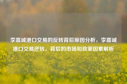 李嘉诚港口交易的反转背后原因分析，李嘉诚港口交易逆转，背后的市场和政策因素解析