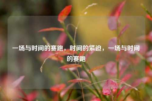 一场与时间的赛跑，时间的紧迫，一场与时间的赛跑