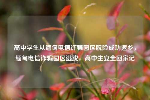 高中学生从缅甸电信诈骗园区脱险成功返乡，缅甸电信诈骗园区逃脱，高中生安全回家记