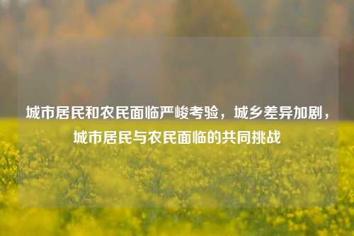 城市居民和农民面临严峻考验，城乡差异加剧，城市居民与农民面临的共同挑战