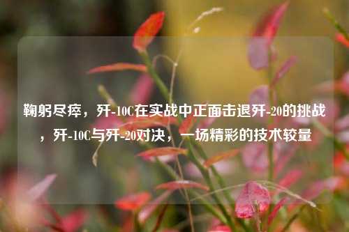 鞠躬尽瘁，歼-10C在实战中正面击退歼-20的挑战，歼-10C与歼-20对决，一场精彩的技术较量