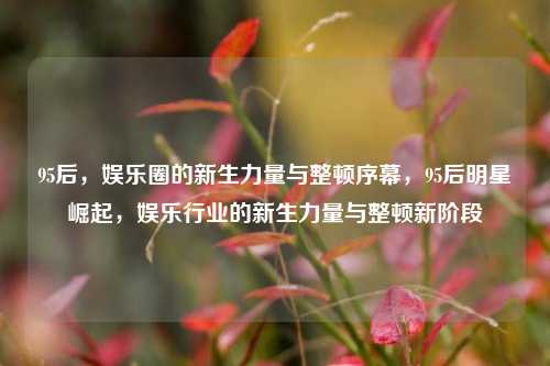 95后，娱乐圈的新生力量与整顿序幕，95后明星崛起，娱乐行业的新生力量与整顿新阶段