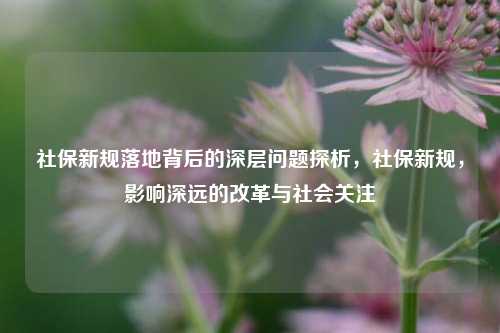社保新规落地背后的深层问题探析，社保新规，影响深远的改革与社会关注