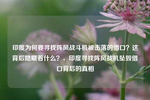 印度为何要寻找阵风战斗机被击落的借口？这背后隐藏着什么？，印度寻找阵风战机坠毁借口背后的真相