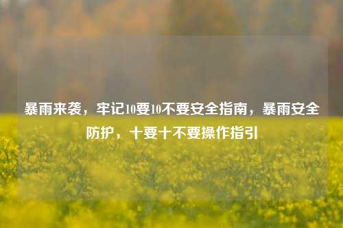 暴雨来袭，牢记10要10不要安全指南，暴雨安全防护，十要十不要操作指引