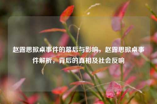赵露思掀桌事件的幕后与影响，赵露思掀桌事件解析，背后的真相及社会反响
